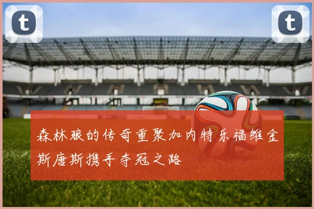 森林狼的传奇重聚加内特乐福维金斯唐斯携手夺冠之路