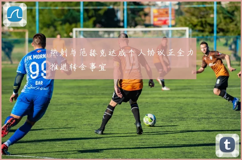 热刺与范赫克达成个人协议正全力推进转会事宜