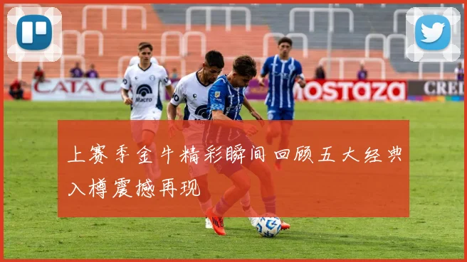 上赛季金牛精彩瞬间回顾五大经典入樽震撼再现