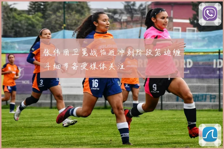 张伟丽卫冕战临近冲刺阶段笼边缠斗细节备受媒体关注